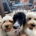 Lisa Bernard Thom - Facebook