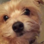 LISA THURBER - @lfisher4168gmailcom - Instagram