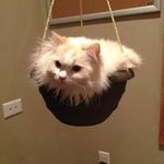 Lisa Timberlake - @angirasah - Instagram