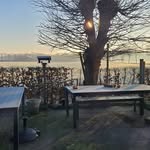 Lisa Bloemenkamp-Timmer - @lisatimmer20 - Instagram