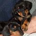 Lisa Timmer - Facebook