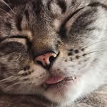 Lisa Timmer - @timmer896 - Instagram