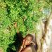 Lisa Toti - Facebook