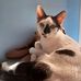 Lisa Allen - Facebook