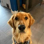 Lisa Tower - Facebook