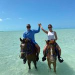Lisa Cammarata Towne - @towne948 - Instagram