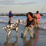 Lisa The Dog Trainer - @lisahartman13 - Instagram