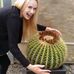 Lisa Treiber - Facebook