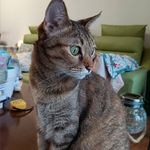 Lisa Tseng - @lisa.tseng.7 - Instagram