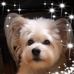 Lisa Tu - Facebook