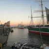 Lisa - @lisatulk6 - TikTok