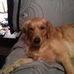 Lisa Tullos - Facebook