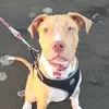 Lisa Turtle - @lisa.turtle6 - TikTok