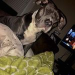 Lisa Tutt - @lisa.tutt.75 - Instagram