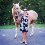 Lisa Urbanski - @lmsstables - Instagram