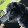 lisaurbanski591 - @lisaurbanski591 - TikTok