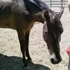 Lisa Urtz - @lisaurtz - TikTok