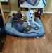 Lisa Uselton - Facebook