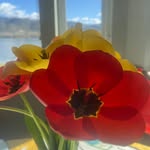 Lisa Vallejo Sorensen - @vallejosorensen - Instagram