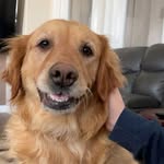 Lisa Vandermeer - @lisa_vandermeer623 - Instagram