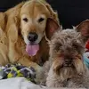 lisavanhoy6 - @lisavanhoy6 - TikTok