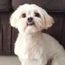 Lisa Veal - Facebook