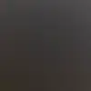 lisaveal7 - @lisa.veal0 - TikTok