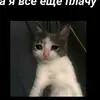 hhfdgjf - @lisavetochka3 - TikTok