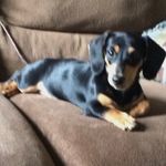 Lisa Visalli - @lvisalli4 - Instagram
