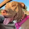 Lisa Maria Volpe - @lisa.maria.volpe - TikTok