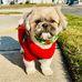 Lisa Volpe - Facebook