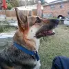 lisa Volpe - @lisa.volpe1 - TikTok