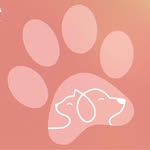 Lisa Volpe - @lisavolpe36 - Instagram