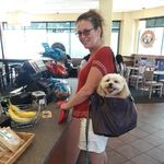 Lisa Volpe - @leeleevolp - Instagram