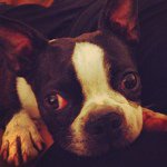 Lisa Volpe - @lisamvolpe - Instagram