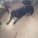 Lisa Votel - Facebook