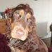 Lisa Watkinson - Facebook