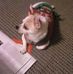 Lisa Waycaster - Facebook