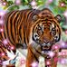 Lisa Waycaster - Facebook