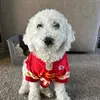 lisa_wedel - @lisa_wedel - TikTok
