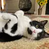 Lisa Wedge722 - @lisawsunny - TikTok