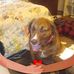 Lisa Weeden - Facebook