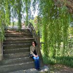 Lisa Weeth - @luvpets02 - Instagram