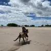 Lisa Weth - @lisaweth - TikTok