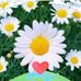 Lisa M Wegner - Facebook