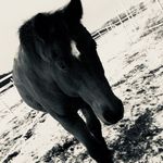 Lisa Wegner - @wegner.lisa2002 - Instagram
