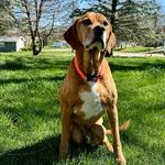 Lisa Wegner - @lawegner - Instagram