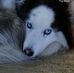Lisa Gring-Wehr - Facebook