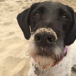 Lisa Kinser Wehr - @lisakinserwehr - Instagram