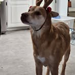 Lisa Wikert - Facebook